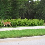 IMG_0002 IMG_0002