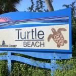 turtle beach6 turtle beach6